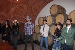 Fotografía 7 / 20 de LINK