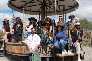 Fotografía 9 / 20 de LINK