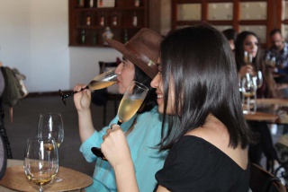 Fotografía 11 / 20 de LINK