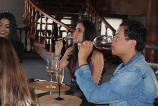 Fotografía 12 / 20 de LINK