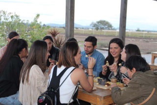 Fotografía 13 / 20 de LINK