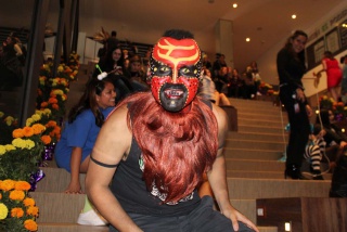 Fotografía 15 / 20 de LINK