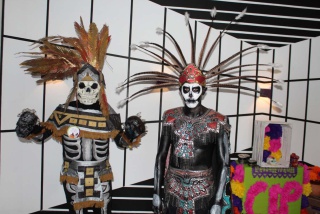 Fotografía 16 / 20 de LINK