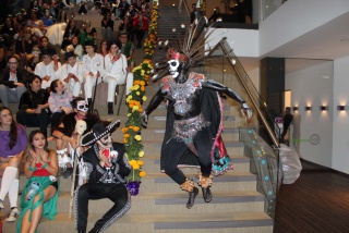 Fotografía 19 / 20 de LINK