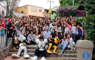 Fotografía 1 / 20 de LINK